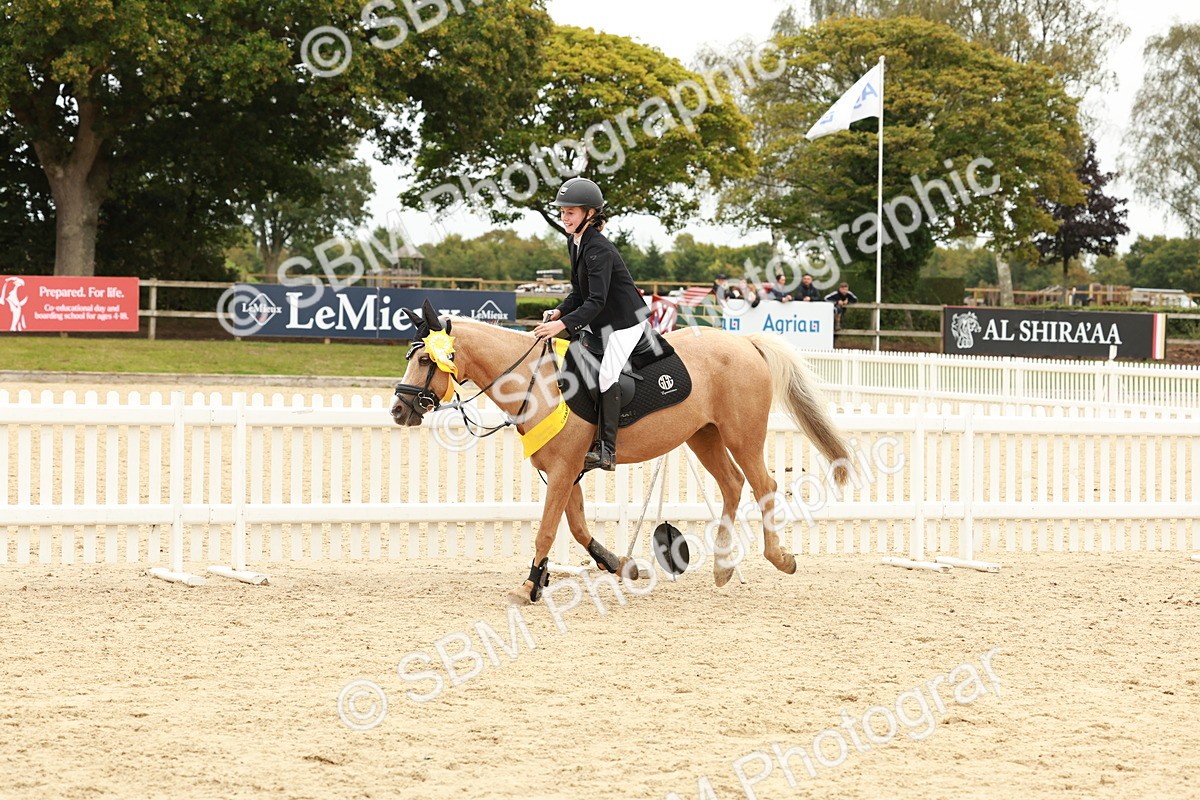 SBM_63927 - J12 - Junior Pony 55cm Championship