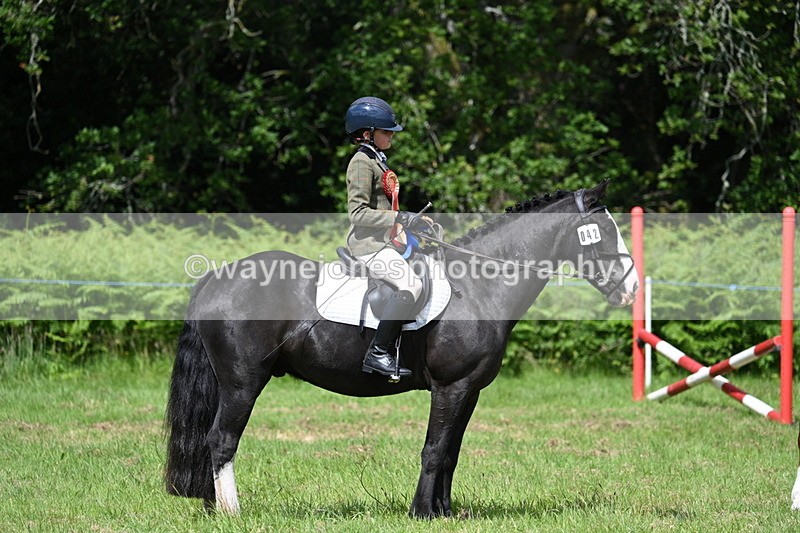WJ7_1879 - Class 9 Pony Club Pony