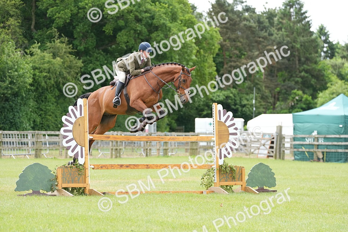 SBM_14924 - Class 100-102 - RIHS Working Hunter