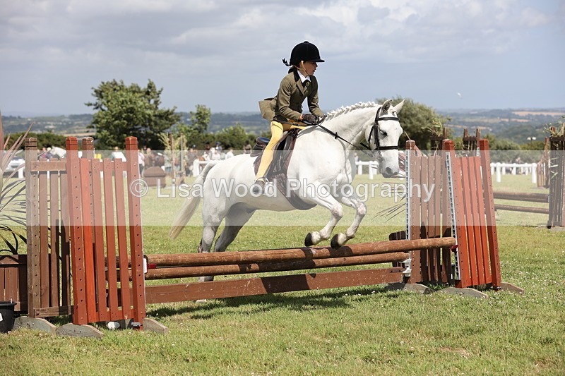 JPP_2097 - Class 19: Working Hunter 60cm