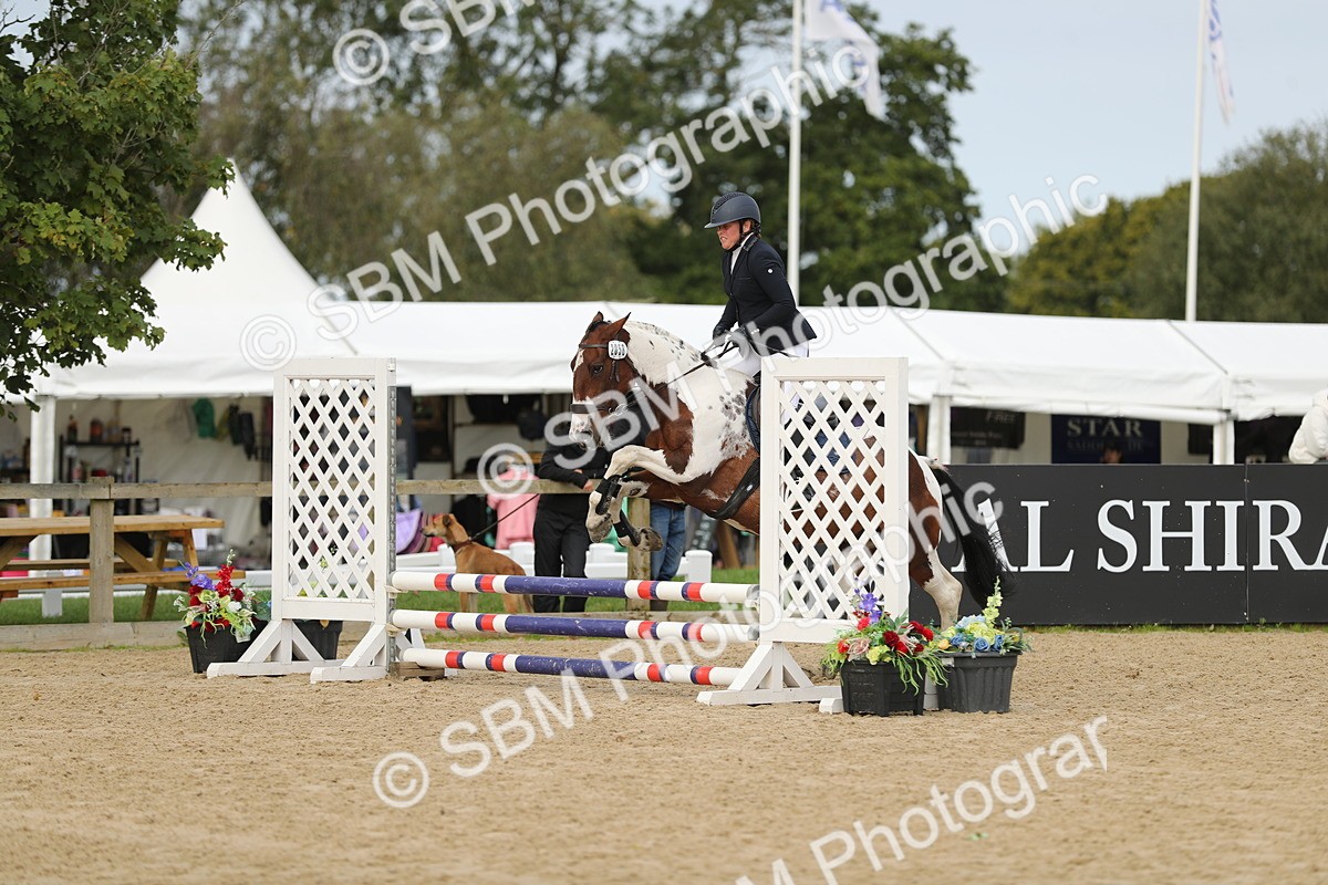 SBM_03100 - J28 - Senior Horse & Pony 60cm Championships