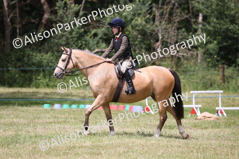 20260614-2129 - Class 21 - Novice Working Hunter Pony