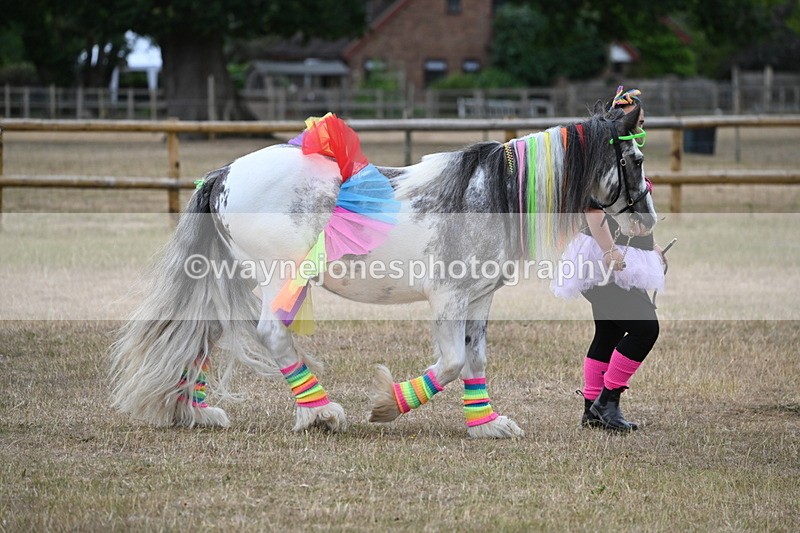 WJ6_8828 - Class 11 Fancy Dress