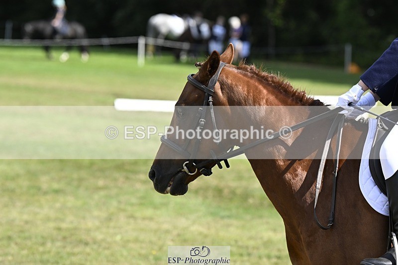 250822A-111851-22197 - DR 11.00 to 12.00