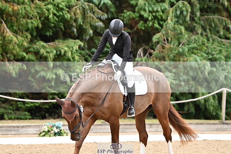 250808A-103340-00351 - 024-Daisy.Hedges-Felicia.V