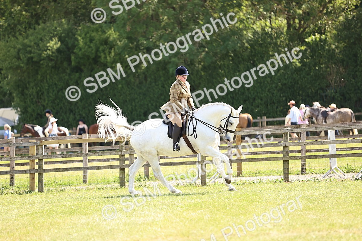 SBM_16148 - Class 79-80 - LIHS BSHA Rising Star Ridden Hunter