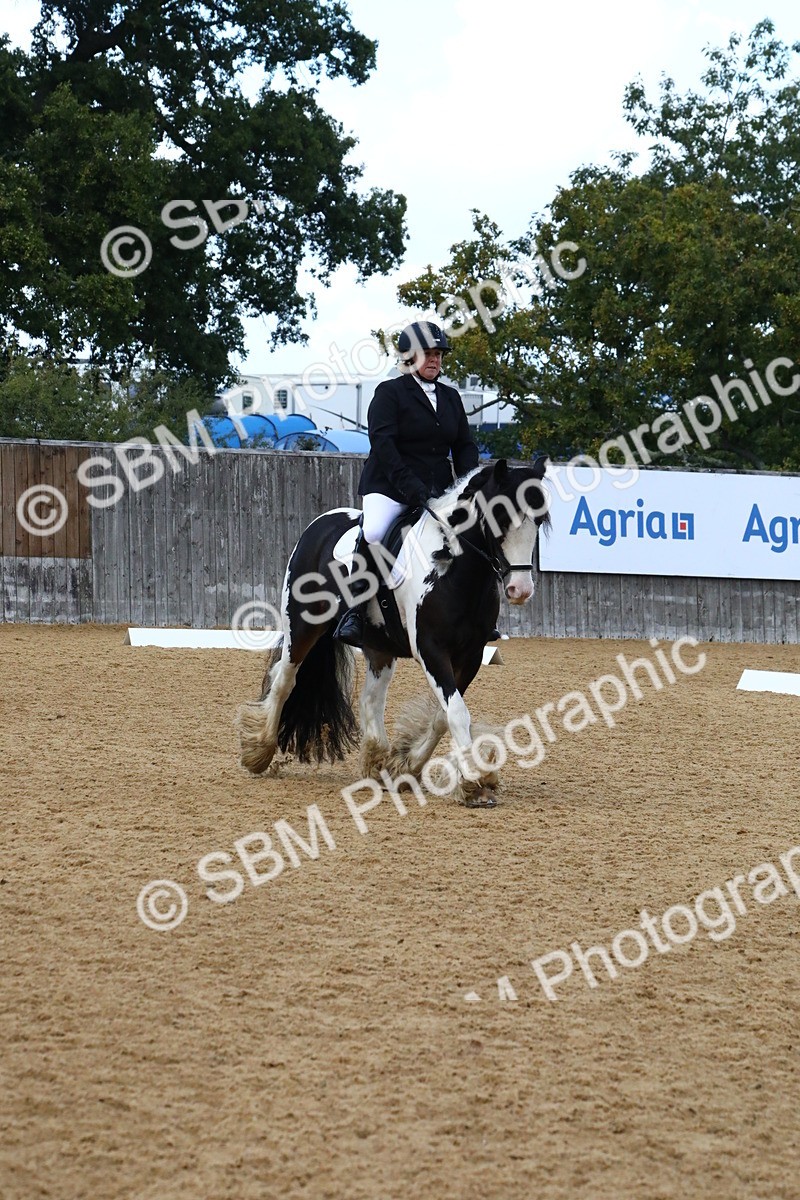 SBM_21025 - D5 - Small Tour Championshop Intro 2