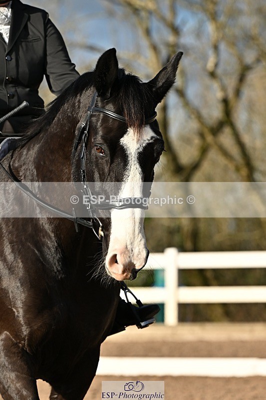 241214-132500-02413 - 119-Rosey.Bradburn-High.Spirits.II