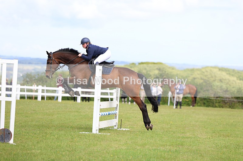 3E7A7560 - Class 13: Senior British Novice/90cm open