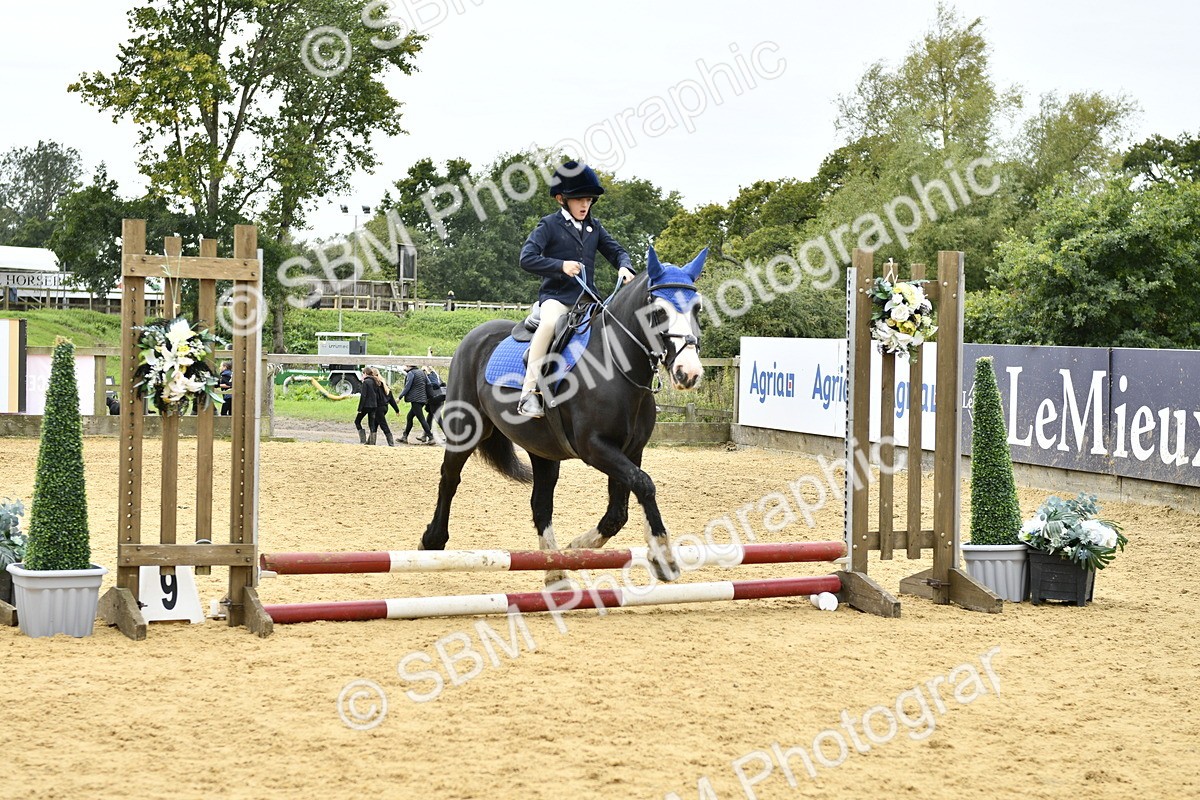 SBM_65438 - J2a mini Tour Junior Pony 30cm Championship