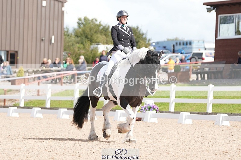 250906-123301-02215 - 014-Katrina.EllisSilverstor.IV