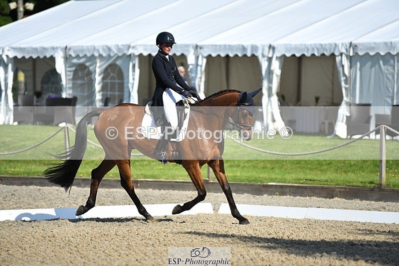 230525-091217-01558 - 303-JESMOND_RENARD-Susie_Berry-WEDTrotUp+DR