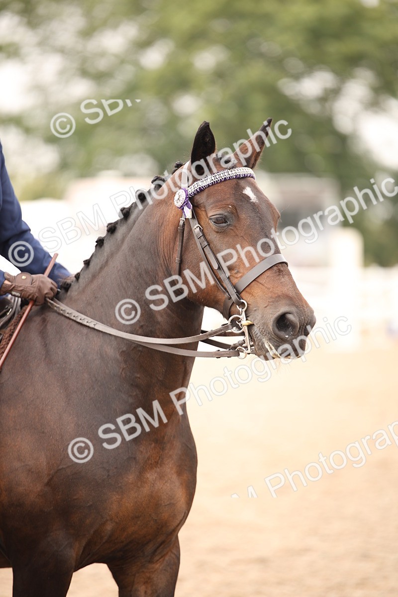 SBM_22218 - Class 708 - Ridden Rescue