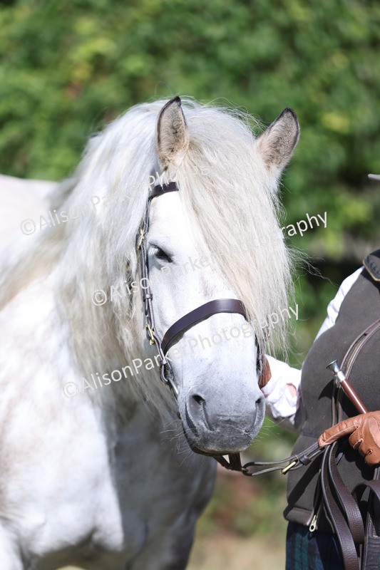 20250831-1429 - Class 21 - Inhand Open