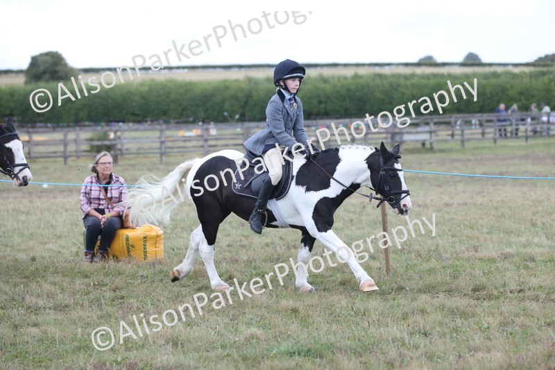 20250831-4248 - Class 20 - Ridden Coloured