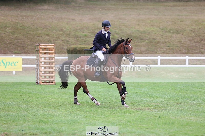 250830A-122027-06401 - Cls 15 5 Year Old Qualifier