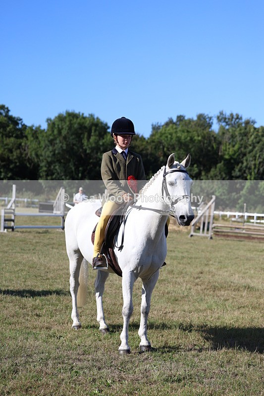 3E7A5395 - Class 2: Working Hunter 60cm