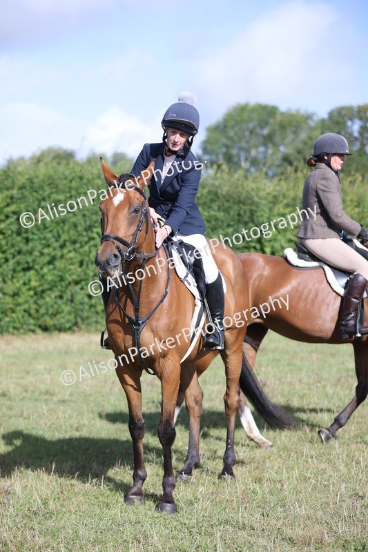 20250831-0941 - Class 14 - Ex Racehorse