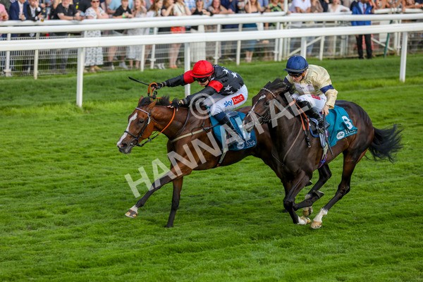 260724-Race 3-Elsies Ruan-4042 - Race 3 6.40pm Ire-Incentive, It Pays To Buy Irish EBF Restricted Novice Stakes