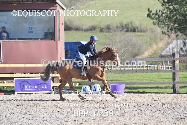 BPP_6239 - CLASS 8 SAT Pony BritiNovice / 0.80m Open
