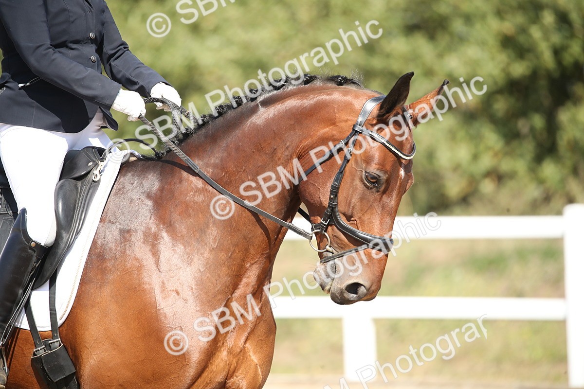 SBM_004995 - Class 11 - Novice 5 - 11.41-12.58