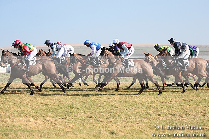 PtP 230219 61 - Vine & Craven Point-To-Point - Barbury 23/02/19