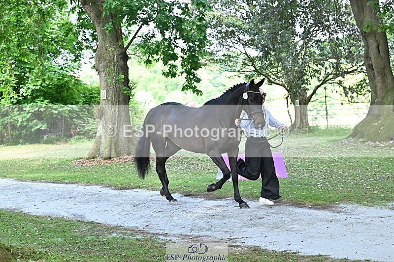 250521A-153220-00577 - B-316-Jasmine.Holmes-ARENT.I.LUCKY