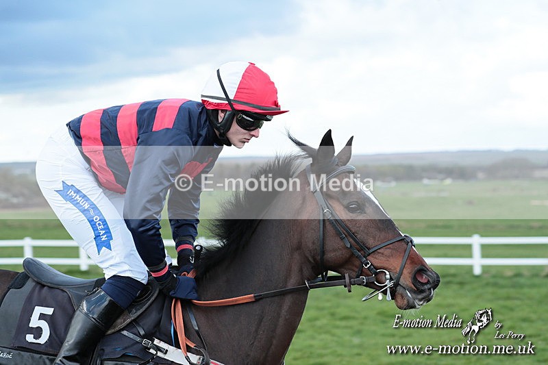 PtP 230324 974 - Tedworth Hunt PtP Larkhill Raccourse 23rd March 2024