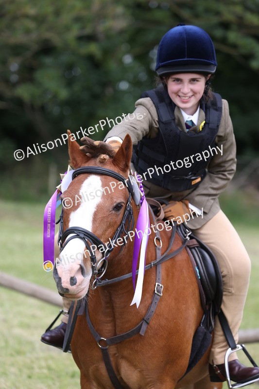 20260614-2166 - Class 21 - Novice Working Hunter Pony