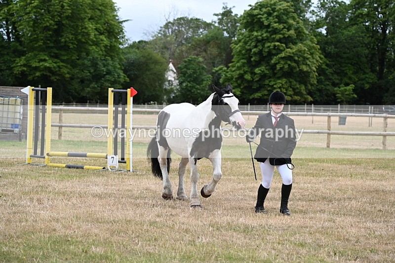 WJ6_4355 - Class 10 Coloured In-hand