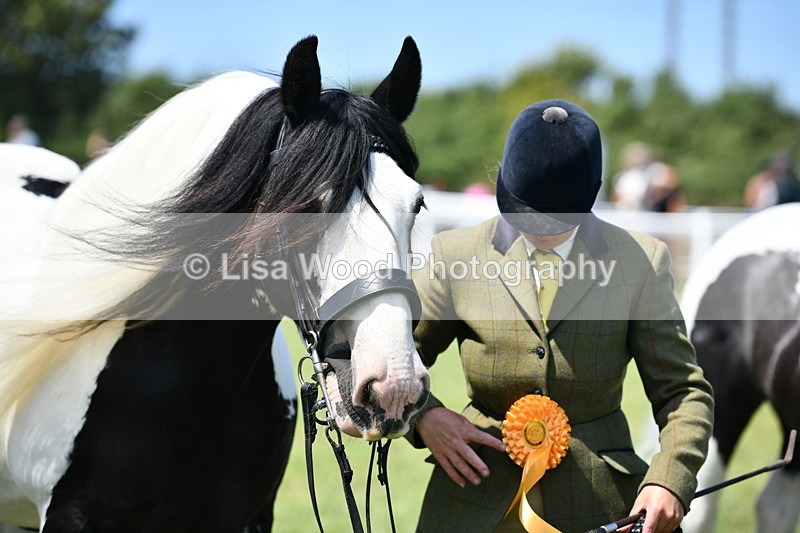 DSC_7791 - Class 64: Coloured Pony 4yrs & over