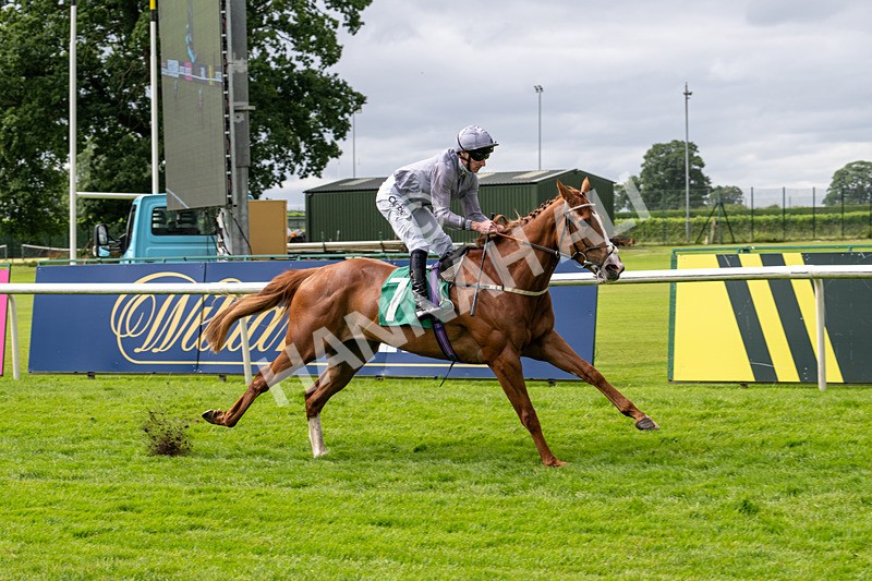 030724-Race 3-Thunder Run-0656 - Race 3