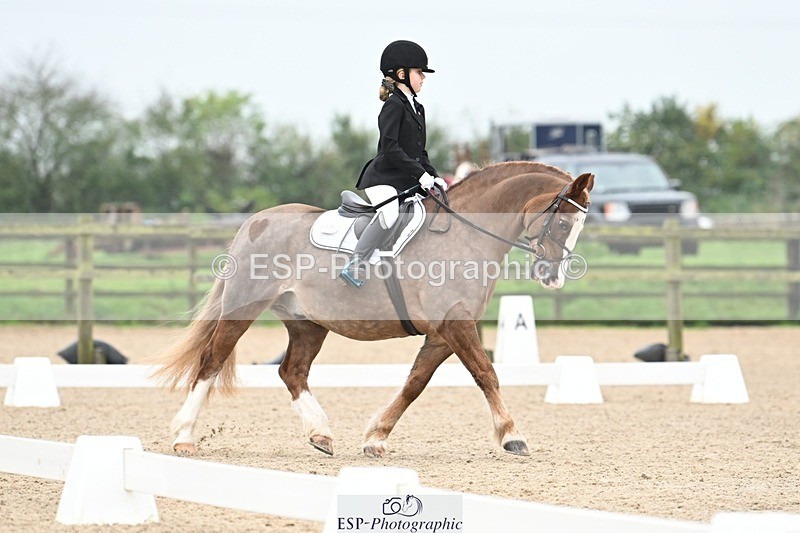 241103-113945-00563 - Intro 3 - 10.50 to 11.44