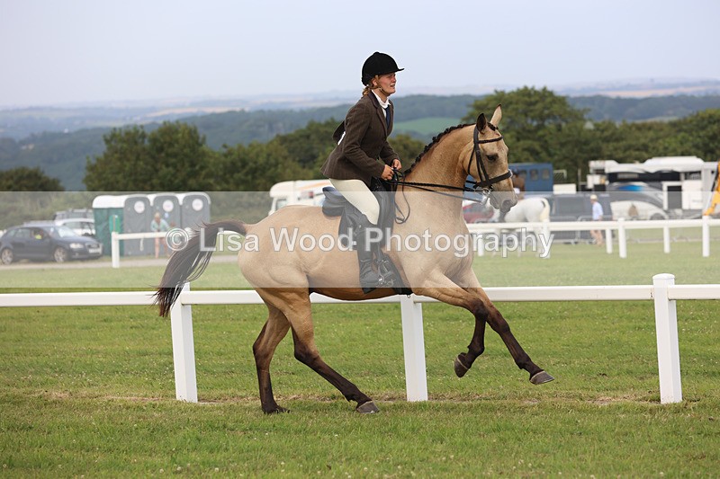 JPP_4430 - Class 26: Working Hunter 1m