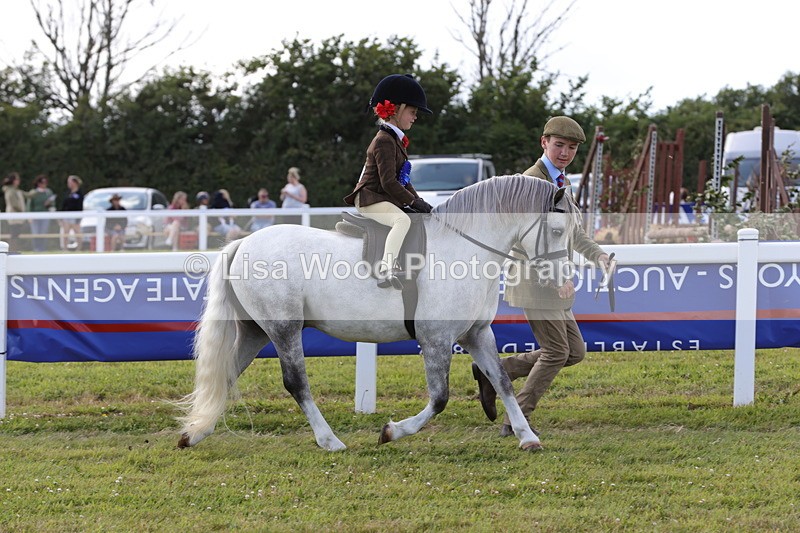 1X9A5487 - M&M Mini Ridden Championship