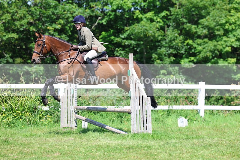 3E7A6970 - Class 30: Novice Working Hunter