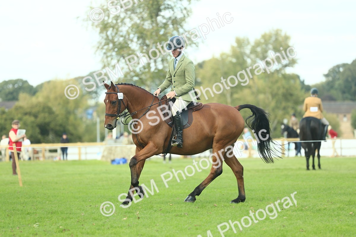 SBM_50746 - S33 - Working Hunter & Working Show Horse