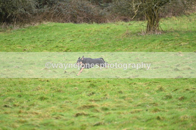WJ5_4324 - Cam A