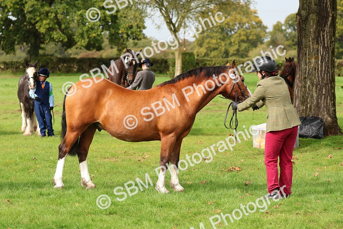 SBM_39317 - S24 - Young Veteran In Hand
