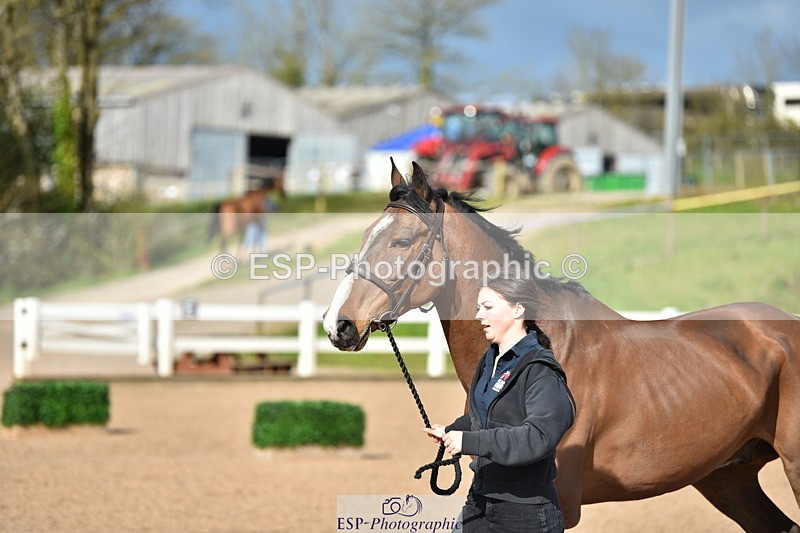 240417A-163548-01269 - 4pm to Finish