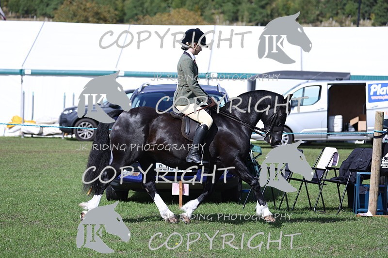 APP_3497 - Class 12 M&M ridden