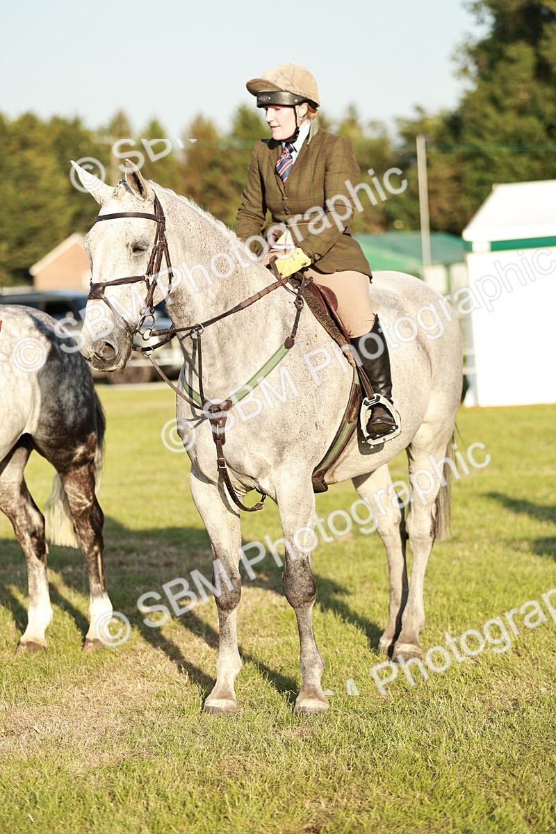 SBM_20563 - Class 117-119 - Sport Horse Working Hunter