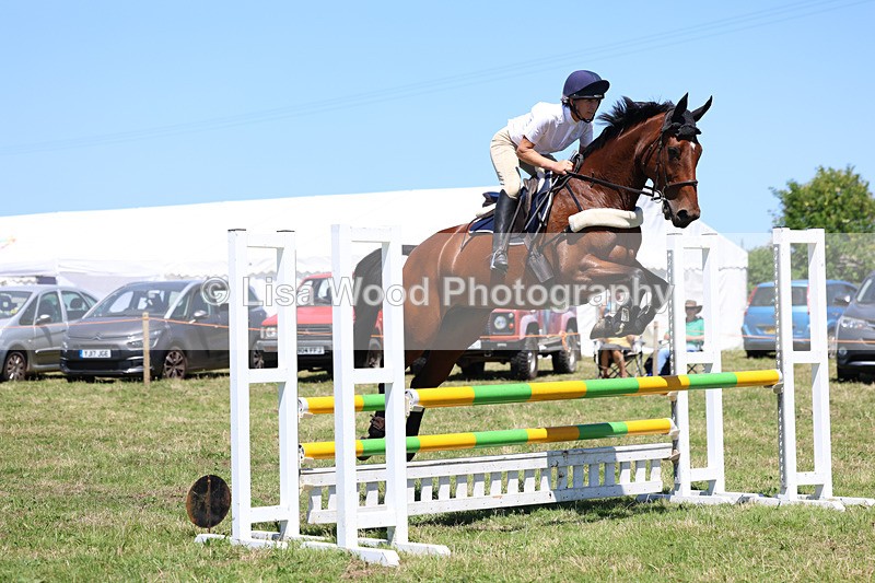 3E7A5473 - Class 9: Senior British Novice/90cm open