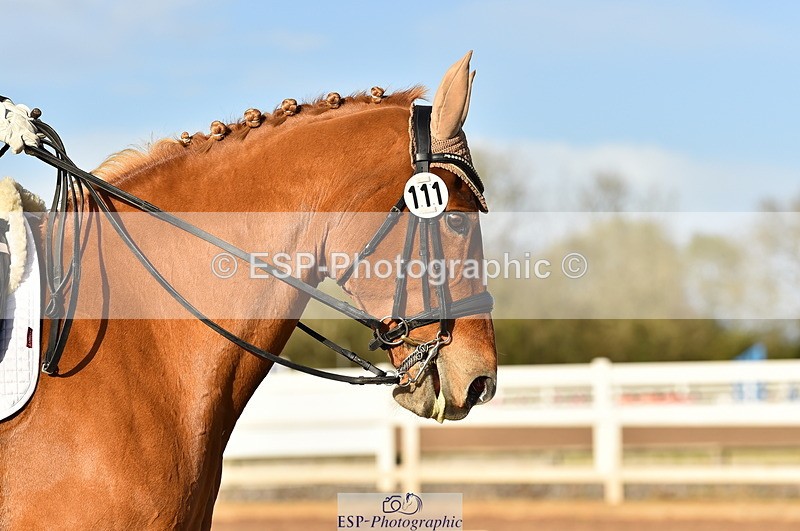 231104A-134304-01900 - Cls 10 Medium 61