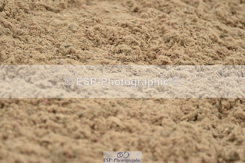 230611A-121240-05429 - Cls 34 1.05m Amateur Qualifier