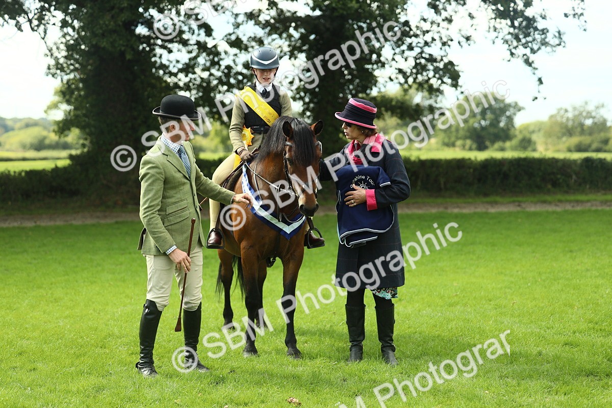 SBM_45024 - Working Hunter Pony Supreme Championship