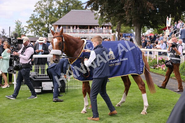 yr17082022r2-40 - Race 2 2.25pm Tattersalls Acomb Stakes