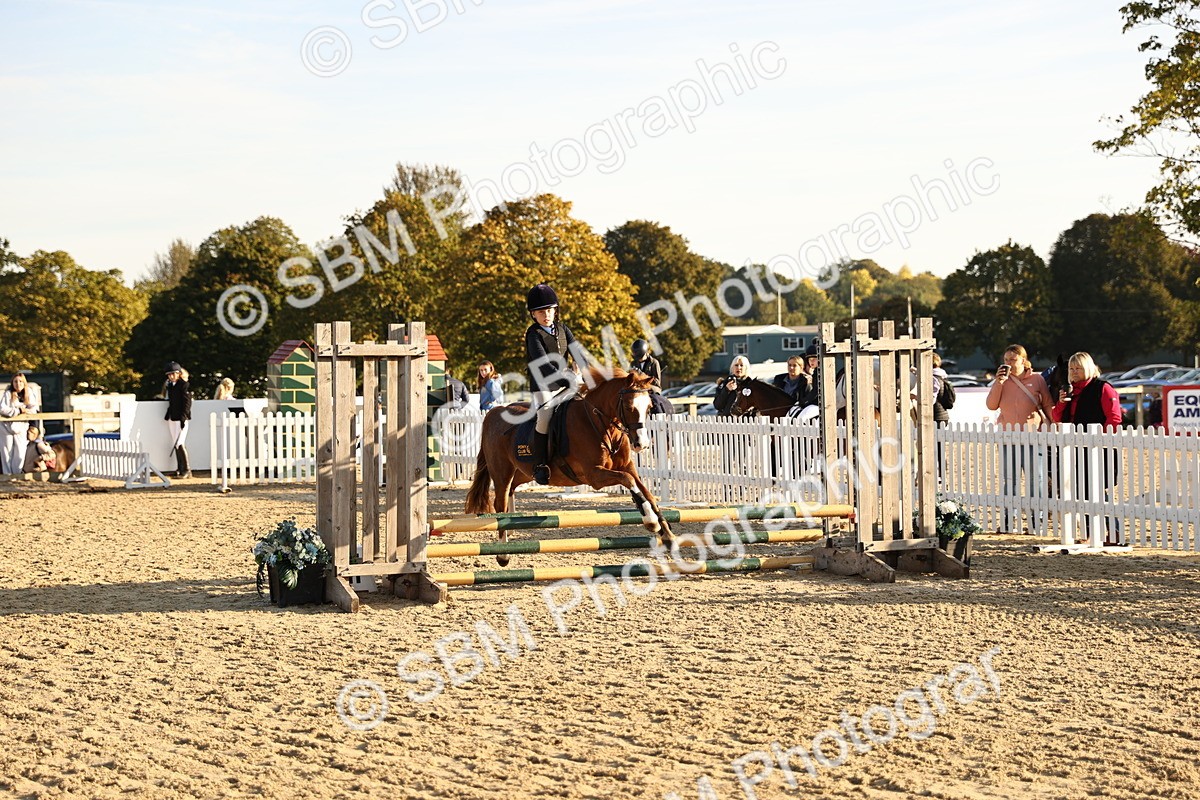 SBM_57275 - J11 - Junior Pony 50cm Championship