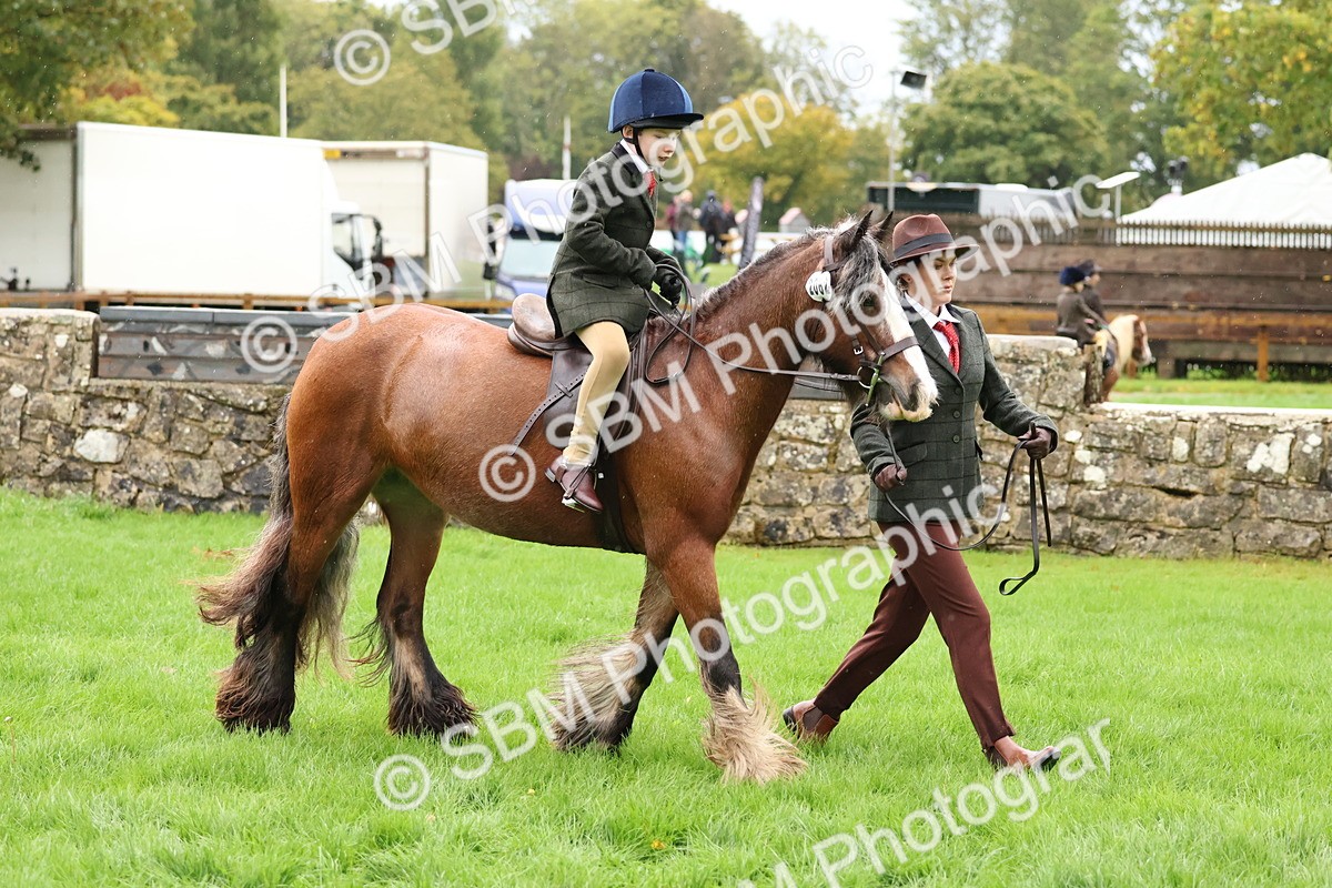 SBM_33364 - S8 - Best Turned Out