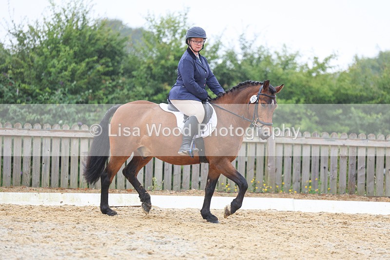 3E7A8502 - Class 2: Intro 3 2024 section B